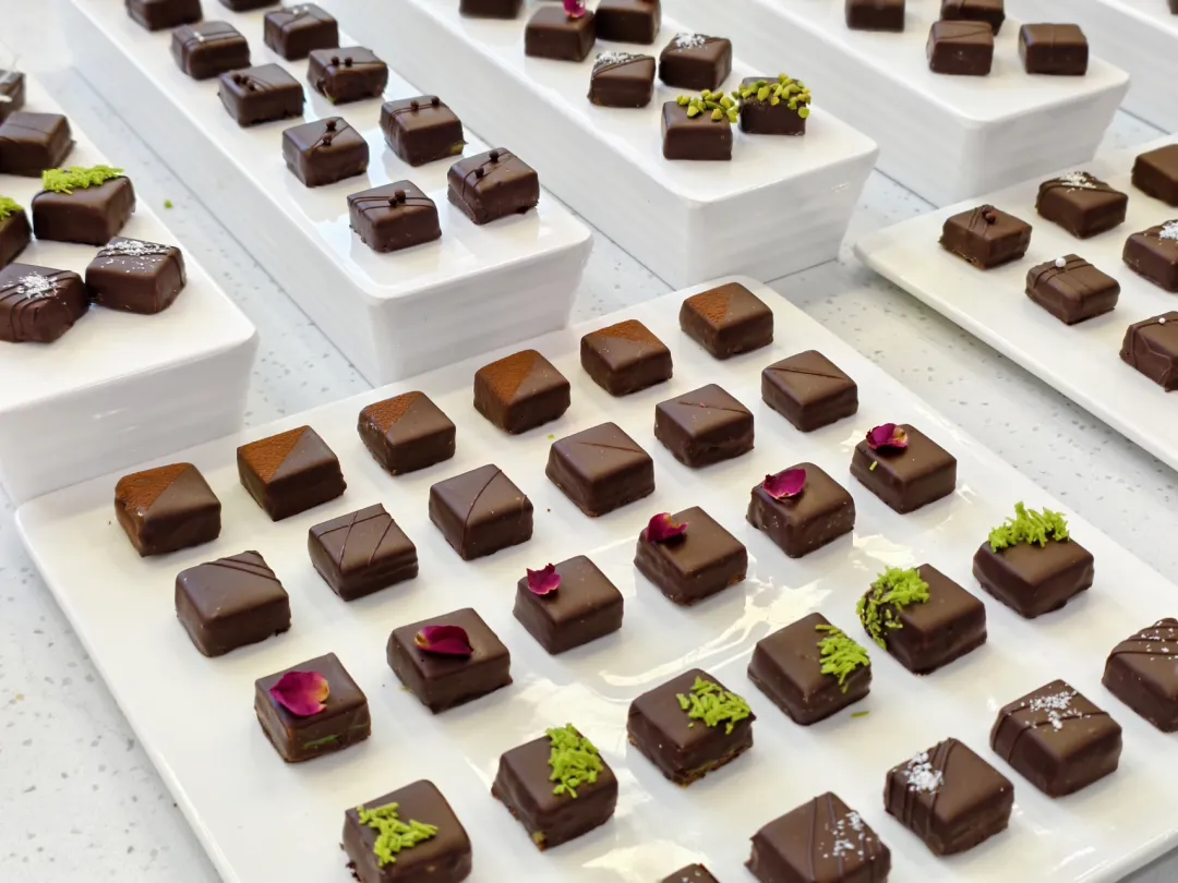 师者匠心赴深造，新品焕新启新程！深圳新东方西点新品发布会圆满落幕